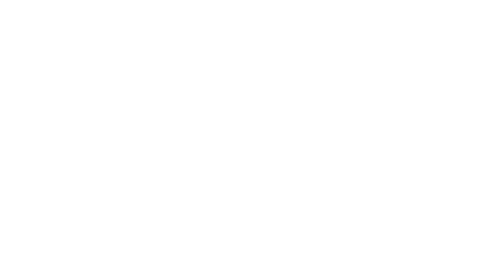 hochiki