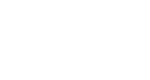 hytera