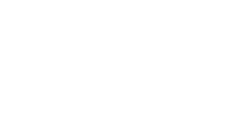 lyonn-ups
